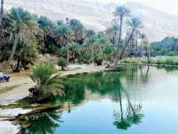 Al Kamil