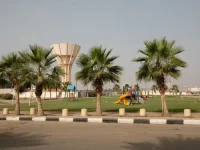 Sabya