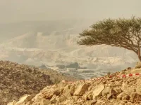 Al Taween