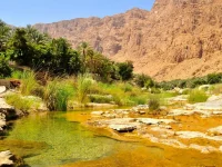Al Suwayriqiyah